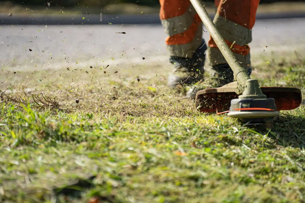 Forestal i jardineria